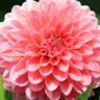 emmaworthy0622